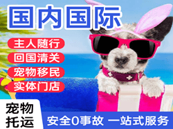 齐齐哈尔空运地址国际宠物托运 【国